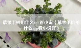 苹果手机用什么app看小说（苹果手机用什么app看小说好）