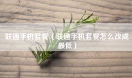 联通手机套餐（联通手机套餐怎么改成最低）