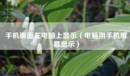 手机画面在电脑上显示（电脑用手机屏幕显示）