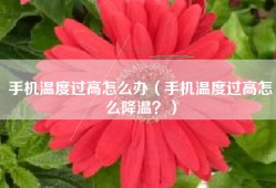手机温度过高怎么办（手机温度过高怎么降温？）