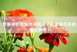 苹果手机重复开关机（手机重复开关机怎么回事）