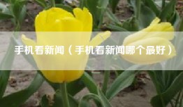 手机看新闻（手机看新闻哪个最好）