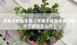 苹果手机版本低（苹果手机版本低下载不了微信怎么办）