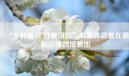 “乡村振兴 诗画田园”书画作品展在潮阳区博物馆展出