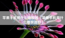 苹果手机用什么播放器（苹果手机用什么播放器好）