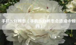 手机2k分辨率（手机2K分辨率会造成卡顿吗）