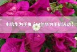 电信华为手机（电信华为手机活动）