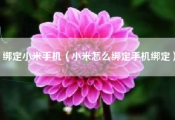 绑定小米手机（小米怎么绑定手机绑定）