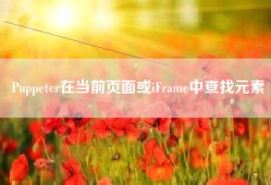 Puppeter在当前页面或iFrame中查找元素