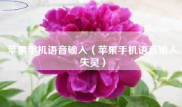 苹果手机语音输入（苹果手机语音输入失灵）