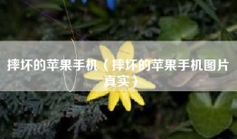 摔坏的苹果手机（摔坏的苹果手机图片 真实）