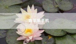 青苹果手机