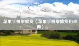 苹果手机维修费（苹果手机维修费用查询）