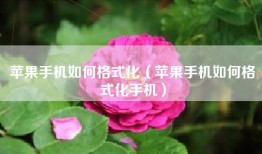 苹果手机如何格式化（苹果手机如何格式化手机）