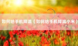 如何给手机降温（如何给手机降温小米）