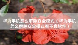 华为手机怎么解除安全模式（华为手机怎么解除安全模式看不良软件）