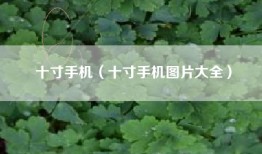 十寸手机（十寸手机图片大全）
