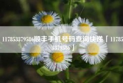 117853379586顺丰手机号码查询快递「117853379586」