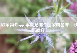 欧乐简介oppo手机是哪个国家的品牌「欧乐简介」