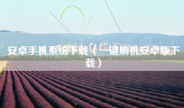 安卓手机系统下载（一键刷机安卓版下载）