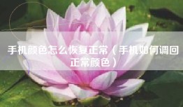 手机颜色怎么恢复正常（手机如何调回正常颜色）
