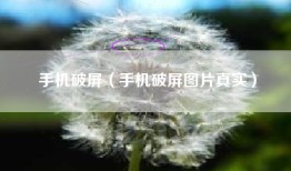 手机破屏（手机破屏图片真实）