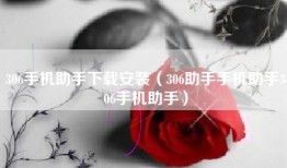 306手机助手下载安装（306助手手机助手306手机助手）