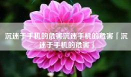 沉迷于手机的危害沉迷手机的危害「沉迷于手机的危害」