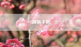 探测手机