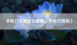 手机行货是什么意思（手机行货和）