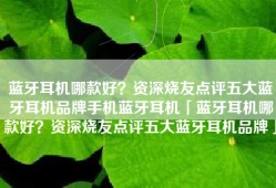 蓝牙耳机哪款好？资深烧友点评五大蓝牙耳机品牌手机蓝牙耳机「蓝牙耳机哪款好？资深烧友点评五大蓝牙耳机品牌」