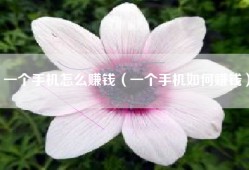 一个手机怎么赚钱（一个手机如何赚钱）