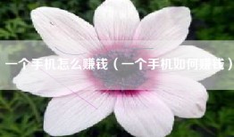 一个手机怎么赚钱（一个手机如何赚钱）
