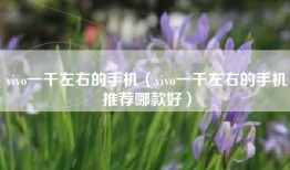 vivo一千左右的手机（vivo一千左右的手机推荐哪款好）
