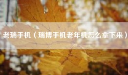 老瑞手机（瑞博手机老年机怎么拿下来）