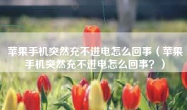苹果手机突然充不进电怎么回事（苹果手机突然充不进电怎么回事？）