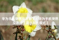 华为手机突然没声音了（华为手机突然没声音了显示耳机模式）