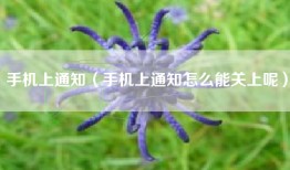 手机上通知（手机上通知怎么能关上呢）