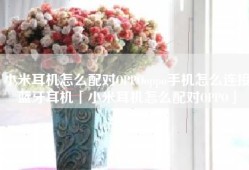 小米耳机怎么配对OPPOoppo手机怎么连接蓝牙耳机「小米耳机怎么配对OPPO」