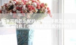 小米耳机怎么配对OPPOoppo手机怎么连接蓝牙耳机「小米耳机怎么配对OPPO」