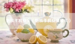 魅族手机安全（魅族手机安全模式）