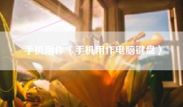 手机用作（手机用作电脑键盘）