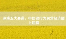 深耕五大赛道，中信银行为民营经济插上翅膀