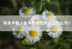 乐丰手机（乐丰手机密码忘了怎么办）