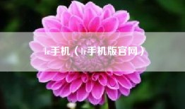 lr手机（lr手机版官网）