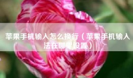 苹果手机输入怎么换行（苹果手机输入法在哪里设置）