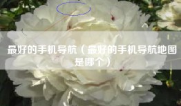 最好的手机导航（最好的手机导航地图是哪个）
