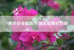 食药安全益路行 海东检察在行动