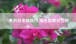 食药安全益路行 海东检察在行动