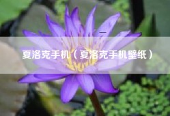 夏洛克手机（夏洛克手机壁纸）